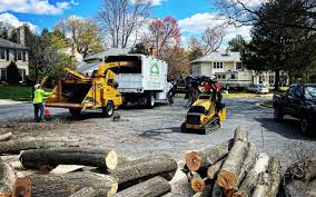 Lawn Pest Prevention in Bryn Mawr Skyway, WA